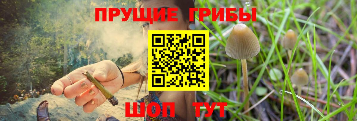 Галлюциногенные грибы Psilocybe  где найти наркотики  Мурманск  Вход с VPN 