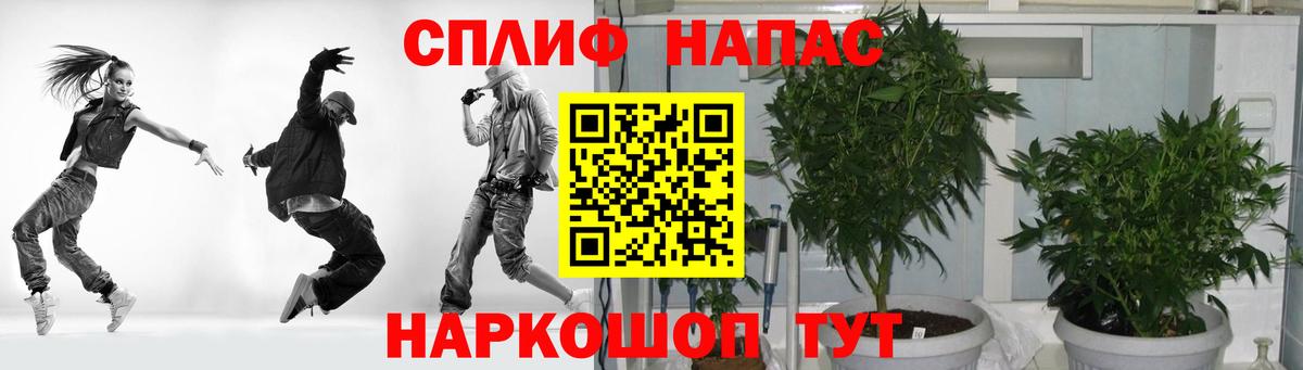 Альфа ПВП Мурманск
